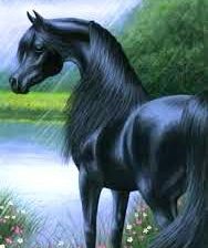 Схема вышивки «№525129»