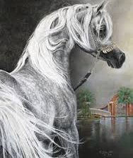 Схема вышивки «№525134»