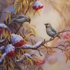 Схема вышивки «воробушки на заснеженной ветке»