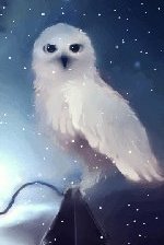 Схема вышивки «белая сова»