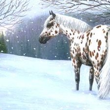 Схема вышивки «№525187»