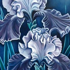 Схема вышивки «Голубые ирисы»