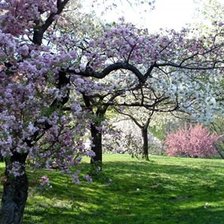Схема вышивки «серия "весна"»