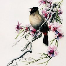 Схема вышивки «Птичка»