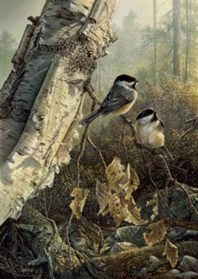 птички - птицы - предпросмотр