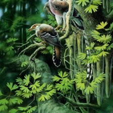 Схема вышивки «птицы»