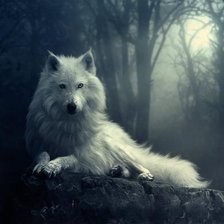 Схема вышивки «№525225»