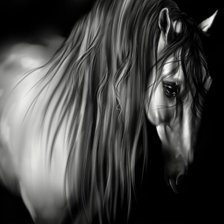 Схема вышивки «красивые лошади (подборка)»