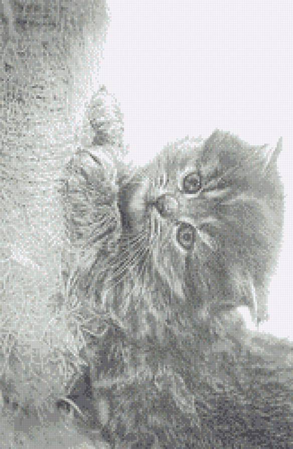 Шалунишка - котенок, кошки, монохром, животные - предпросмотр