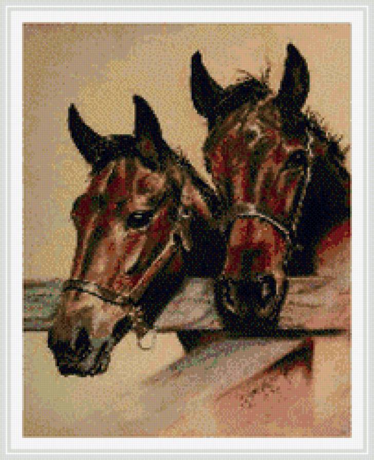 лошади - животные, кони, лошади, пара - предпросмотр