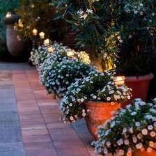 Схема вышивки «Цветы»