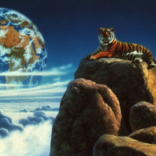 Схема вышивки «Тигр»