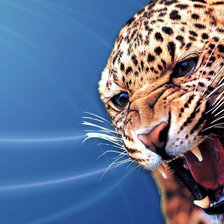 Схема вышивки «Леопард»