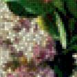 Предпросмотр схемы вышивки «Букет сирени» (№525477)