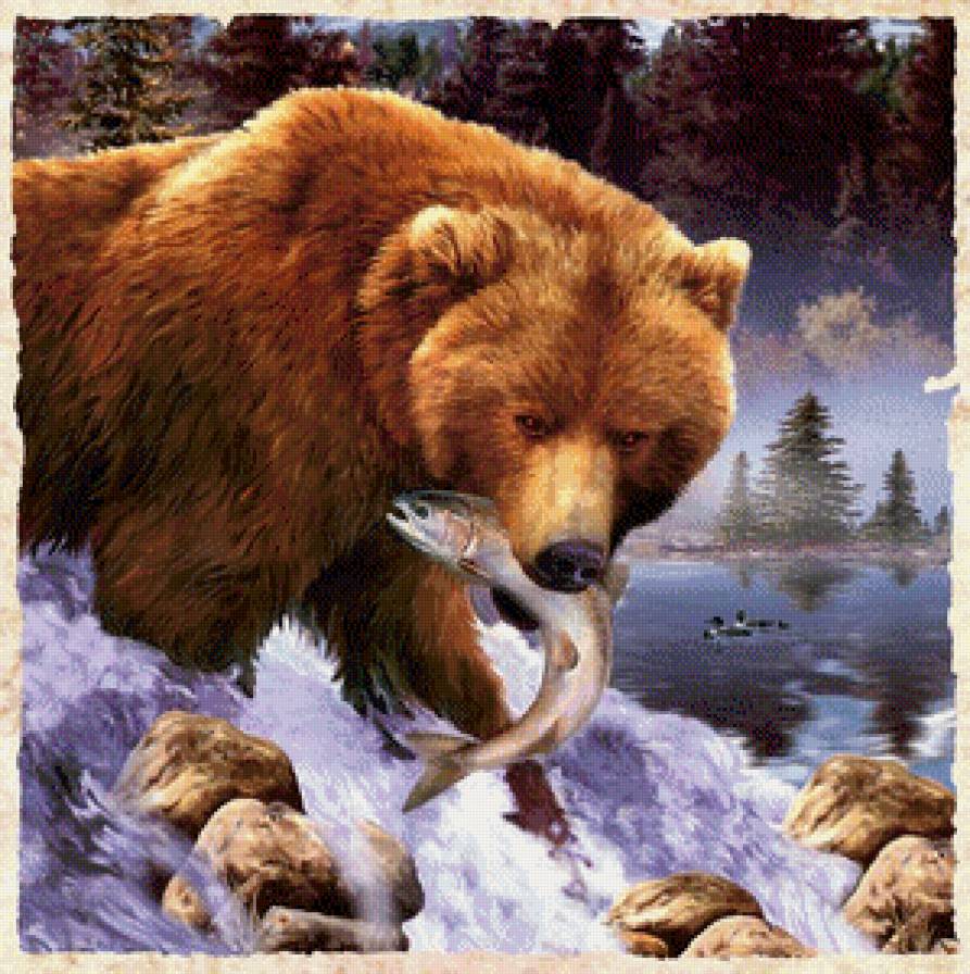 Охотник - животные, медведь, море, рыба - предпросмотр