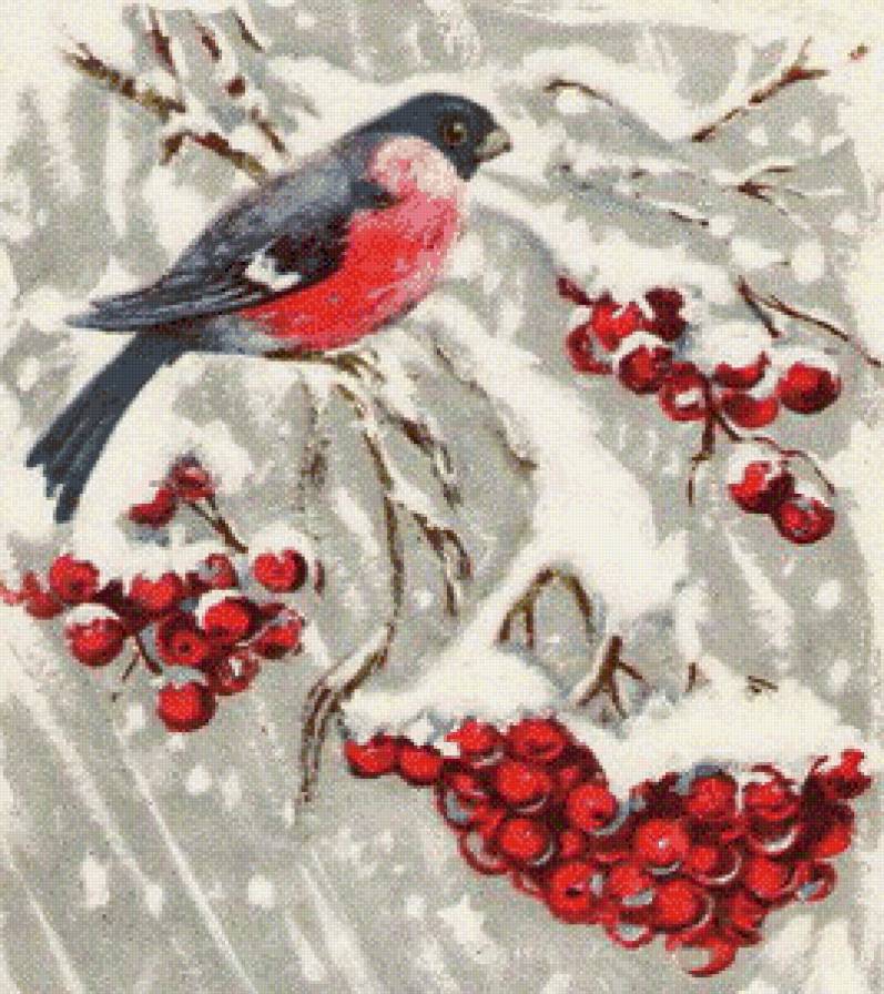снегирь на рябине - снег, синички.калина, рождество, снегири, куст, шиповник, зима, дерево - предпросмотр