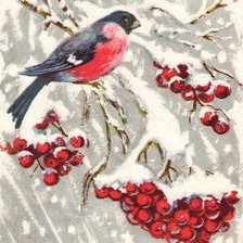 Схема вышивки «снегирь на рябине»
