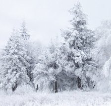 Схема вышивки «зима монохром 5»