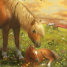 Схема вышивки «картина»