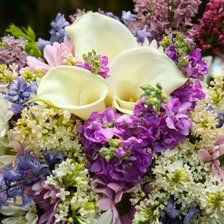 Схема вышивки «цветы»