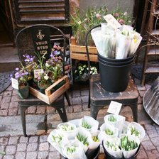 Схема вышивки «цветы»