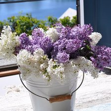 Схема вышивки «цветы»