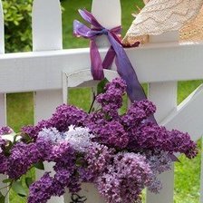 Схема вышивки «цветы»