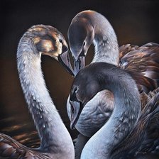 Схема вышивки «Лебеди»