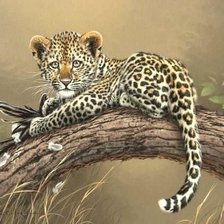 Схема вышивки «№525756»