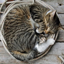 Схема вышивки «сладких снов»