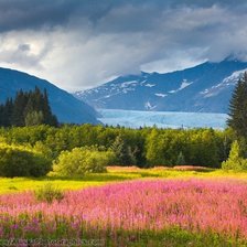 Схема вышивки «Природа»