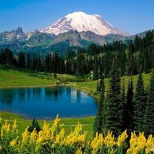 Схема вышивки «Природа»