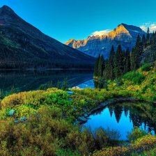 Схема вышивки «Природа»