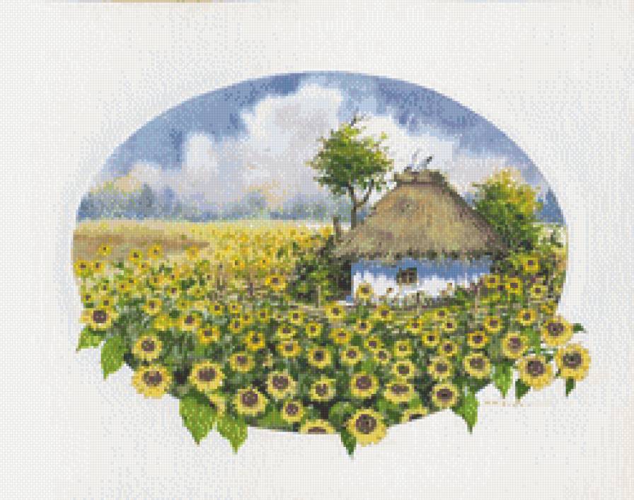 Соняхи - предпросмотр