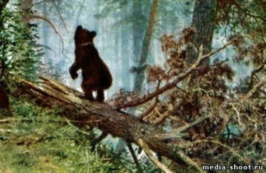 "Мишки в лесу" Иван Шишкин ч. 4 низ - картины, иван, мишки в лесу, шишкин - предпросмотр