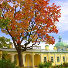 Схема вышивки «осень в парке»