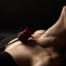 девушка с розой