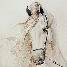 Схема вышивки «№526168»