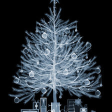 Схема вышивки «Рентген ёлки ))»