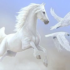 Лошадь и птицы