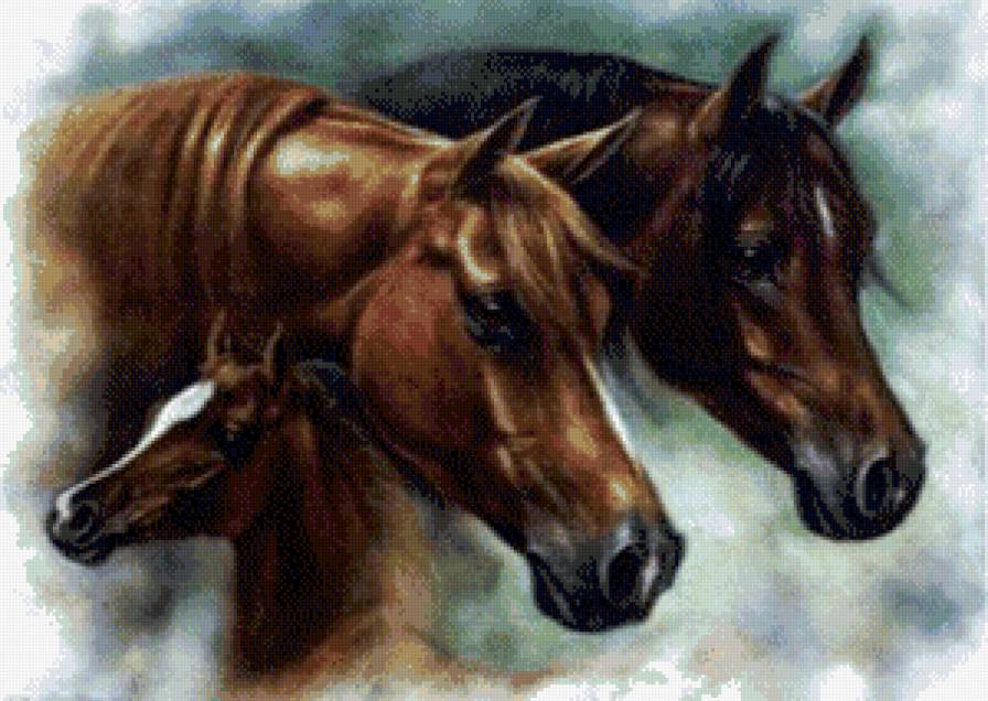 Лошади - животные, лошади - предпросмотр