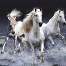 Схема вышивки «Лошади»