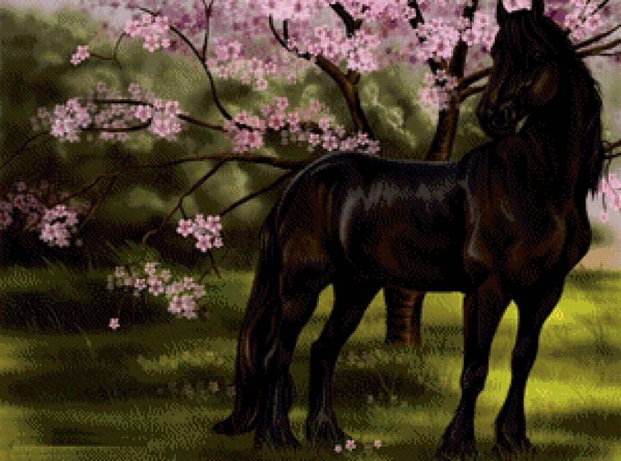 Лошадь - животные, лошади - предпросмотр