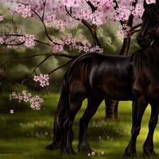 Схема вышивки «Лошадь»