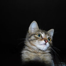 Схема вышивки «том»