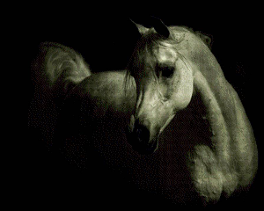 Лошадь - лошади, животные - предпросмотр