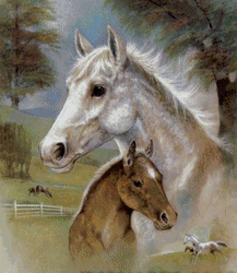 Лошадь - лошади, животные - предпросмотр