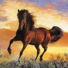 Схема вышивки «Лошадь»