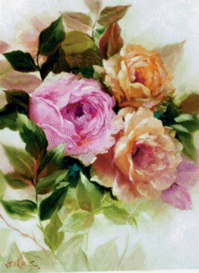 Розы - цветы, букет - предпросмотр