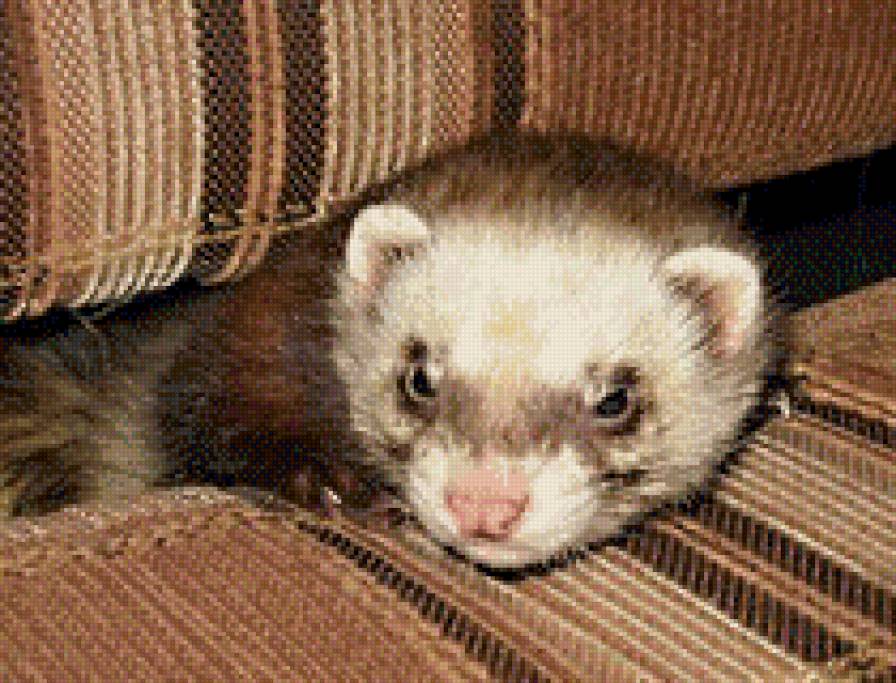 №526394 - предпросмотр